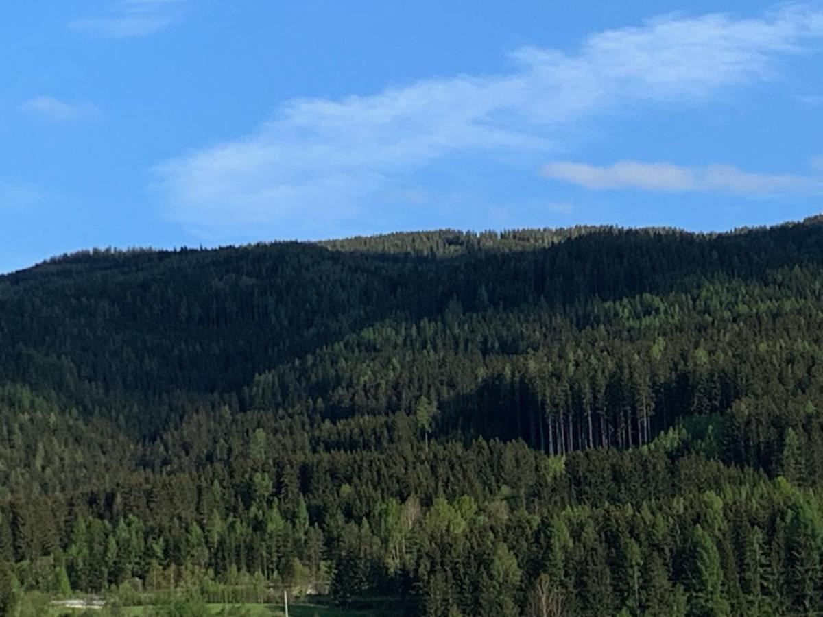 Landgasthof Zur Post Mitterdorf im Murztal Екстер'єр фото