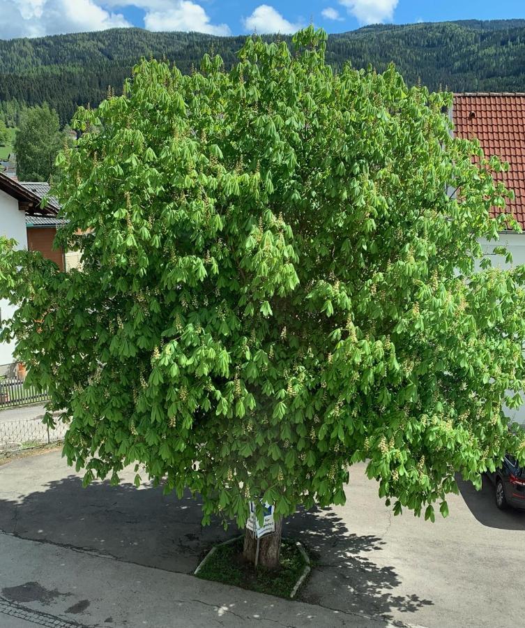 Landgasthof Zur Post Mitterdorf im Murztal Екстер'єр фото