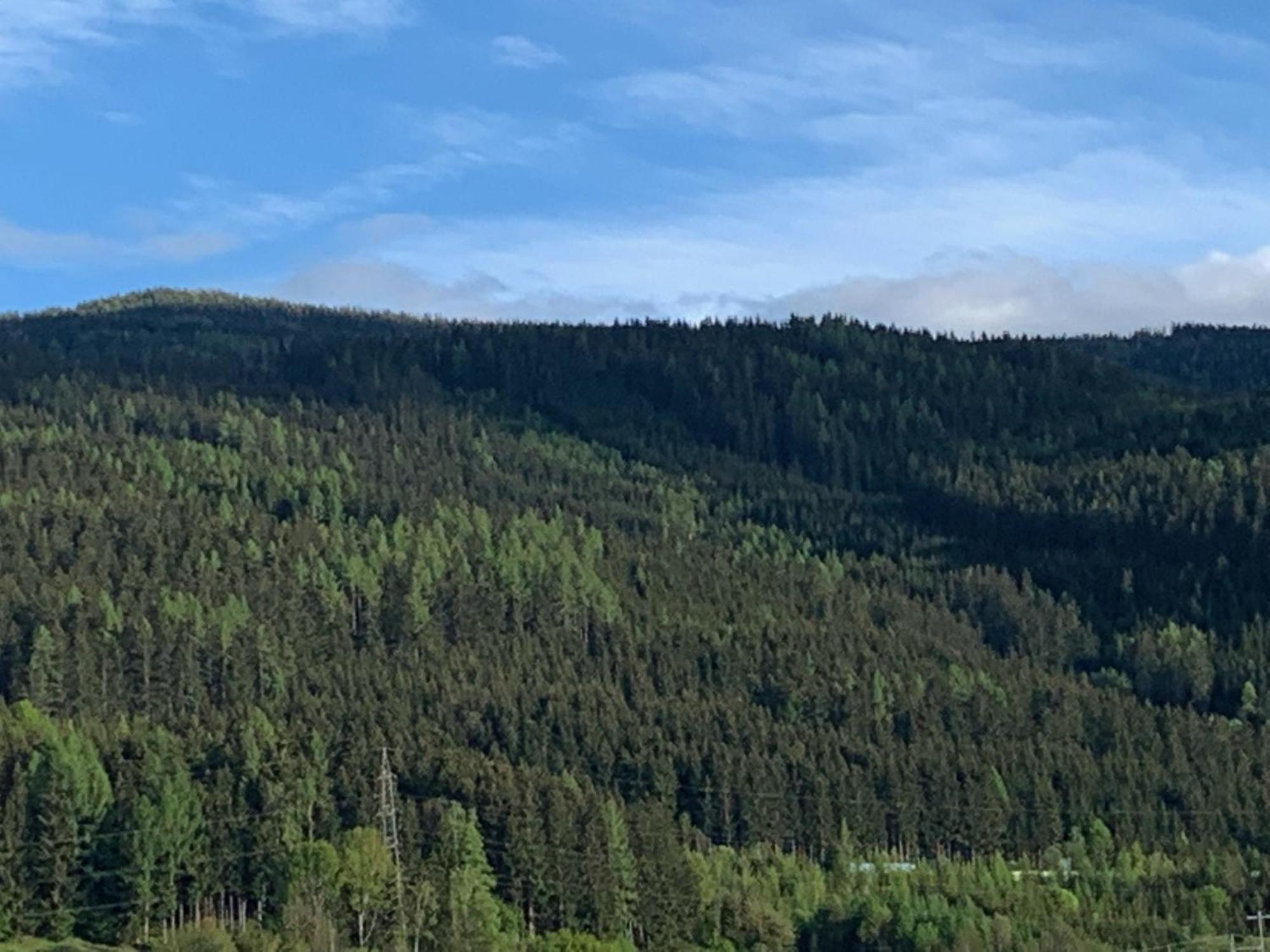 Landgasthof Zur Post Mitterdorf im Murztal Номер фото